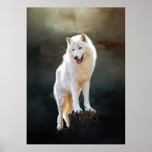 Poster Loup arctique