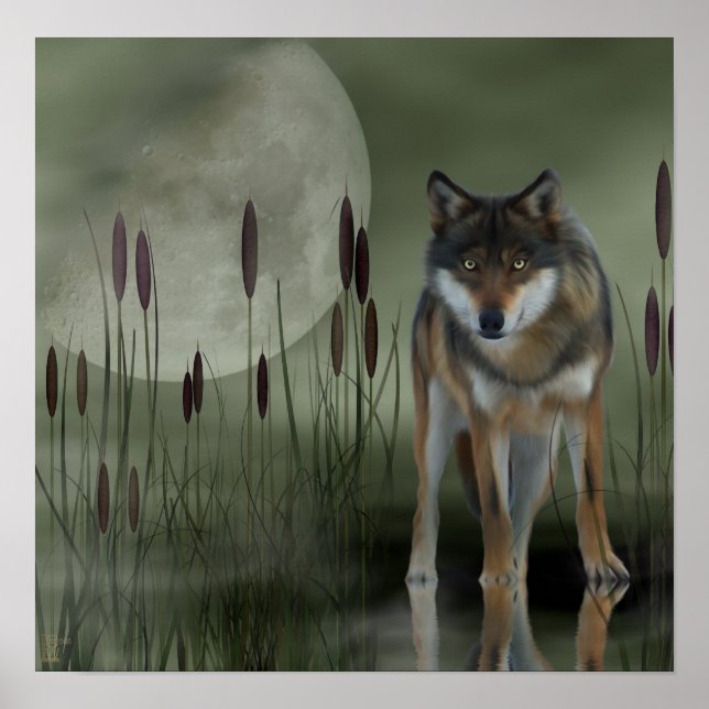 Poster Loup de lune - Loup, Animaux (Devant)