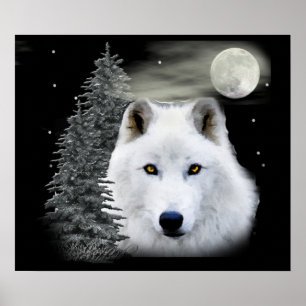 Poster loup de neige arctique