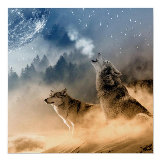 Poster Loup esthétique hurlant, vie sauvage (Devant)