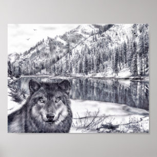Poster Loup et lac