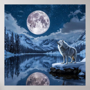 Poster Loup et lune