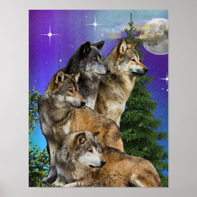 Poster loup et Lune (Devant)