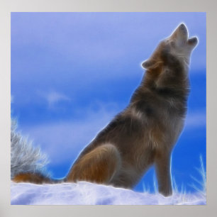 Poster Loup gris en voie de disparition