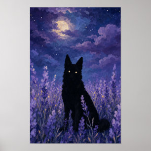 Poster 	 Loup noir dans champ de lavande