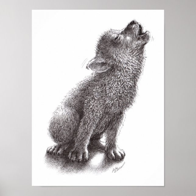 Poster loup ou chien (Devant)