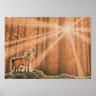 Poster Loup solitaire