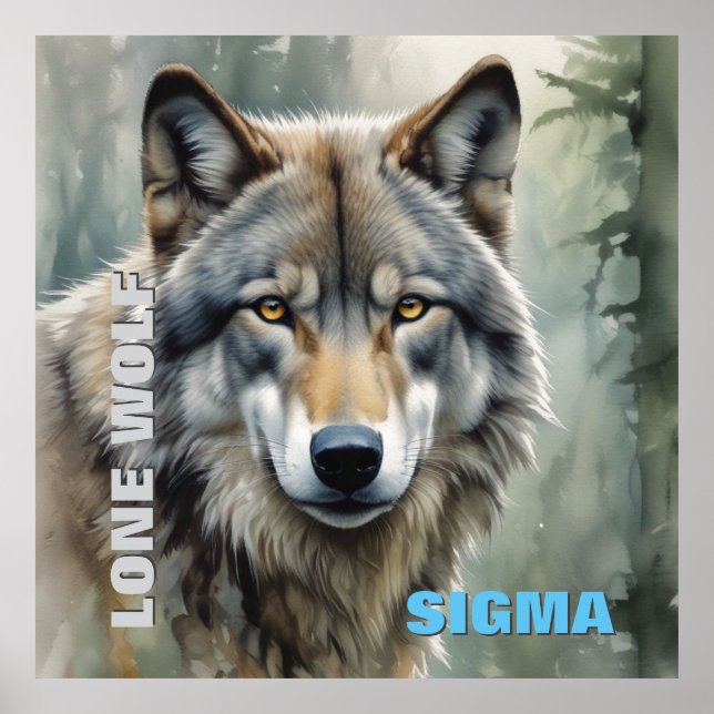 Poster Loup solitaire masculin de Sigma (Devant)