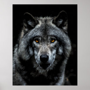 Poster Loup Yeux Orange Animal Sauvage Nature