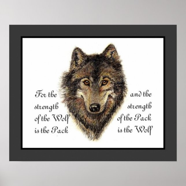 Poster Loups, Aquarelle Wolf & Pack Citation, Nature (Devant)