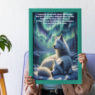 Poster Loups blancs arctiques en Neige