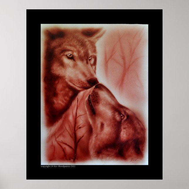 Poster Loups de neige de l'Alaska (Devant)