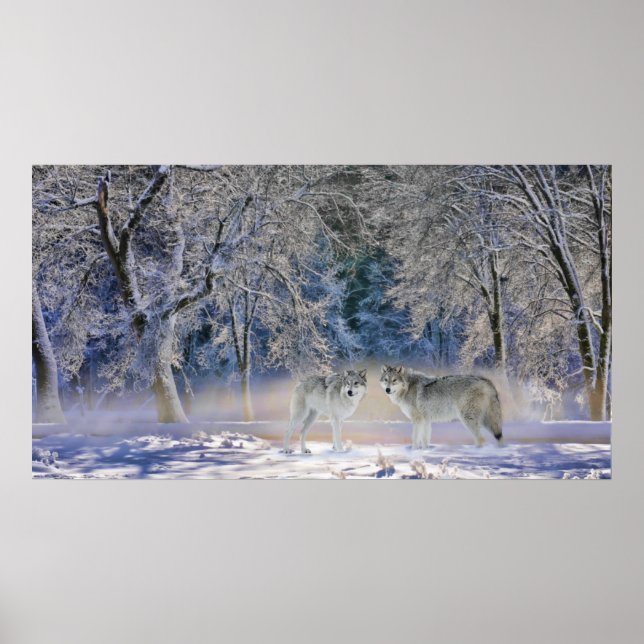 Poster Loups De Yellowstone (Devant)