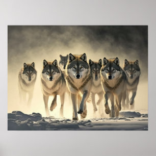 Poster Loups Yellowstone