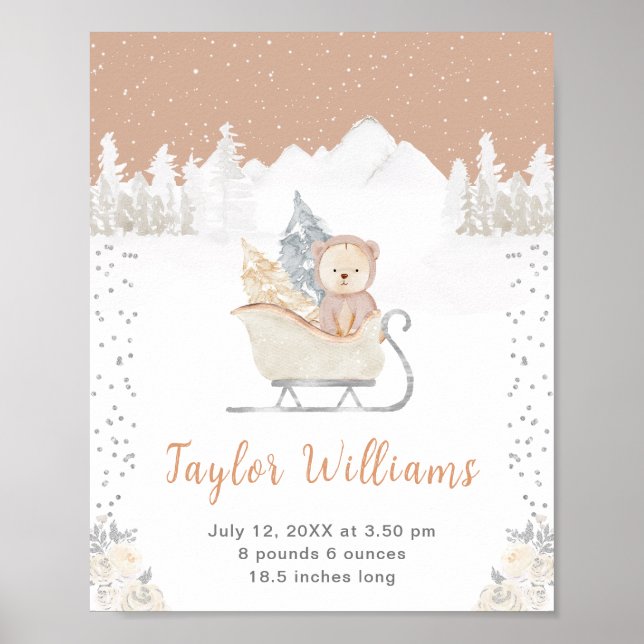 Poster L'ours d'hiver Statistiques sur la naissance de l' (Devant)