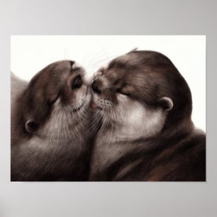 Poster Loutres peintes à la main - Tender Moment Faune Ar