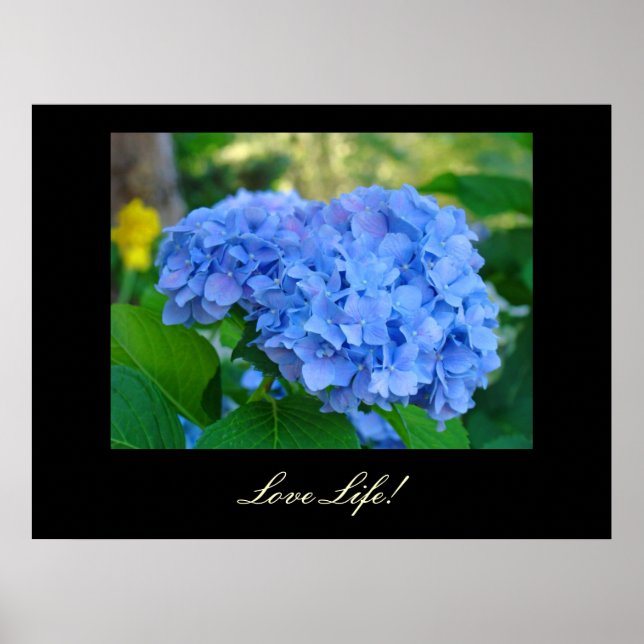 Poster Love Life! art imprime Blue Hydrangea Floral art (Devant)