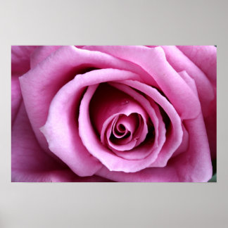 Poster Lovely in lilac