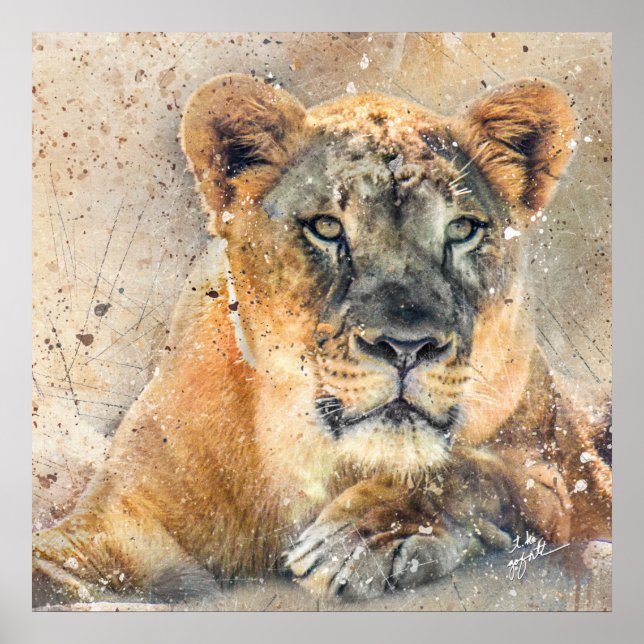 Poster Lovely Lioness Photographie Aquarelle moderne (Devant)
