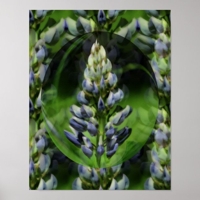 Poster Lovely Lupine Abstrait Floral Art (Devant)