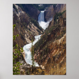 Poster Lower Falls Yellowstone