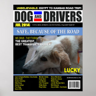 Poster Lucky - Chien et conducteur