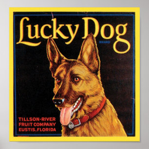 Poster Lucky Dog Vintage Crate Étiquette