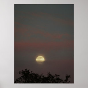 Poster Lueur de Pleine lune