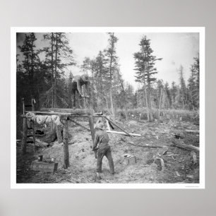 Poster Lumberjacks en Alaska 1916