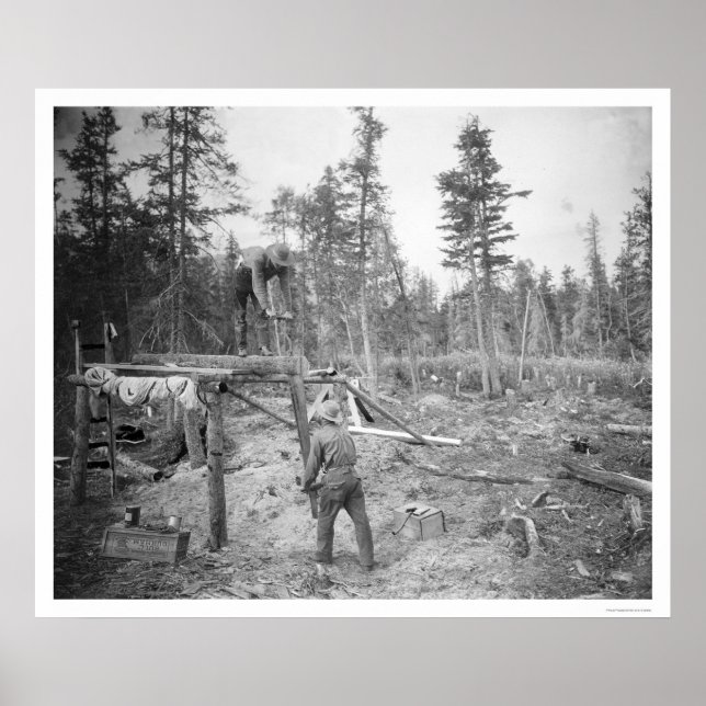 Poster Lumberjacks en Alaska 1916 (Devant)