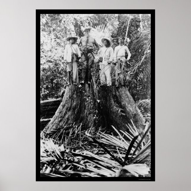 Poster Lumberjacks en Mindoro, Philippines 1906 (Devant)