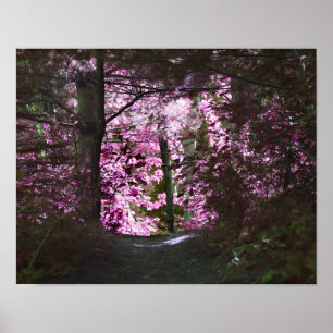 Poster Lumière À La Fin De La Nature Du Chemin