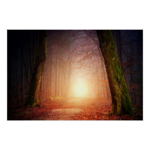 Poster Lumière à l'extrémité de la forêt