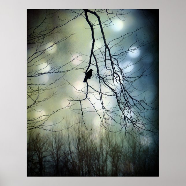Poster Lumière bleue (Devant)