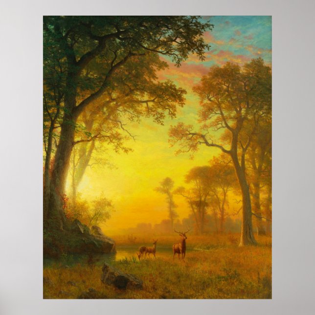 Poster Lumière dans la forêt (Devant)