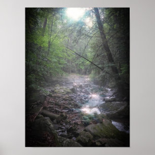 Poster Lumière de forêt de rêve