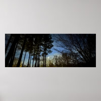 Lumière de nuit,