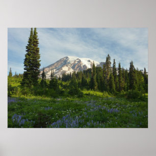 Poster Lumière du matin sur le mont Rainier