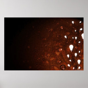 Poster Lumière et obscurité