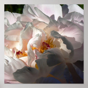 Poster Lumière et ombre 2