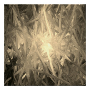 Poster Lumière intérieure monochrome