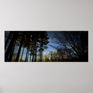 Poster Lumière nocturne,