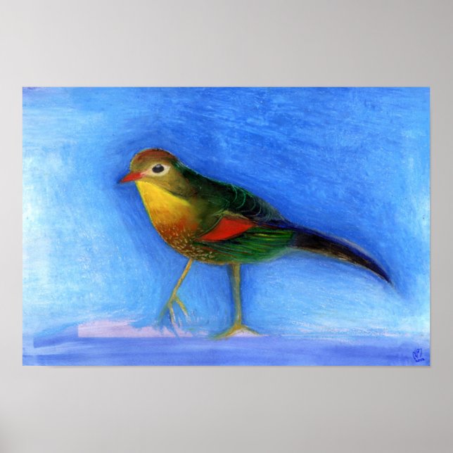 Poster Lumière nocturne 2012 (Devant)