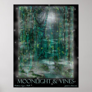 Poster Lumière sur la lune et vignes