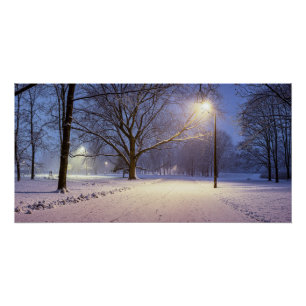 Poster Lumières de rue et couvert de neiges