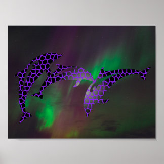 Poster Lumières du Nord Dolphin Dolphins Paysages Ciel