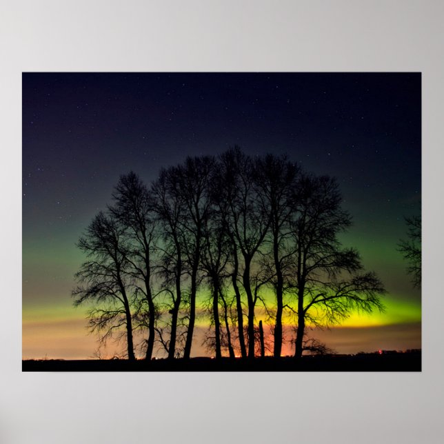 Poster Lumières du Nord | Manitoba Canada Grande Pointe (Devant)
