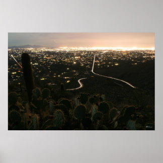 Poster Lumières nocturnes de Cactus