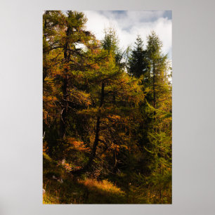 Poster Luminaire d'Europe dorée aux couleurs de l'automne