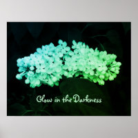 Luminosité dans l'obscurité Green Lilacs Photo